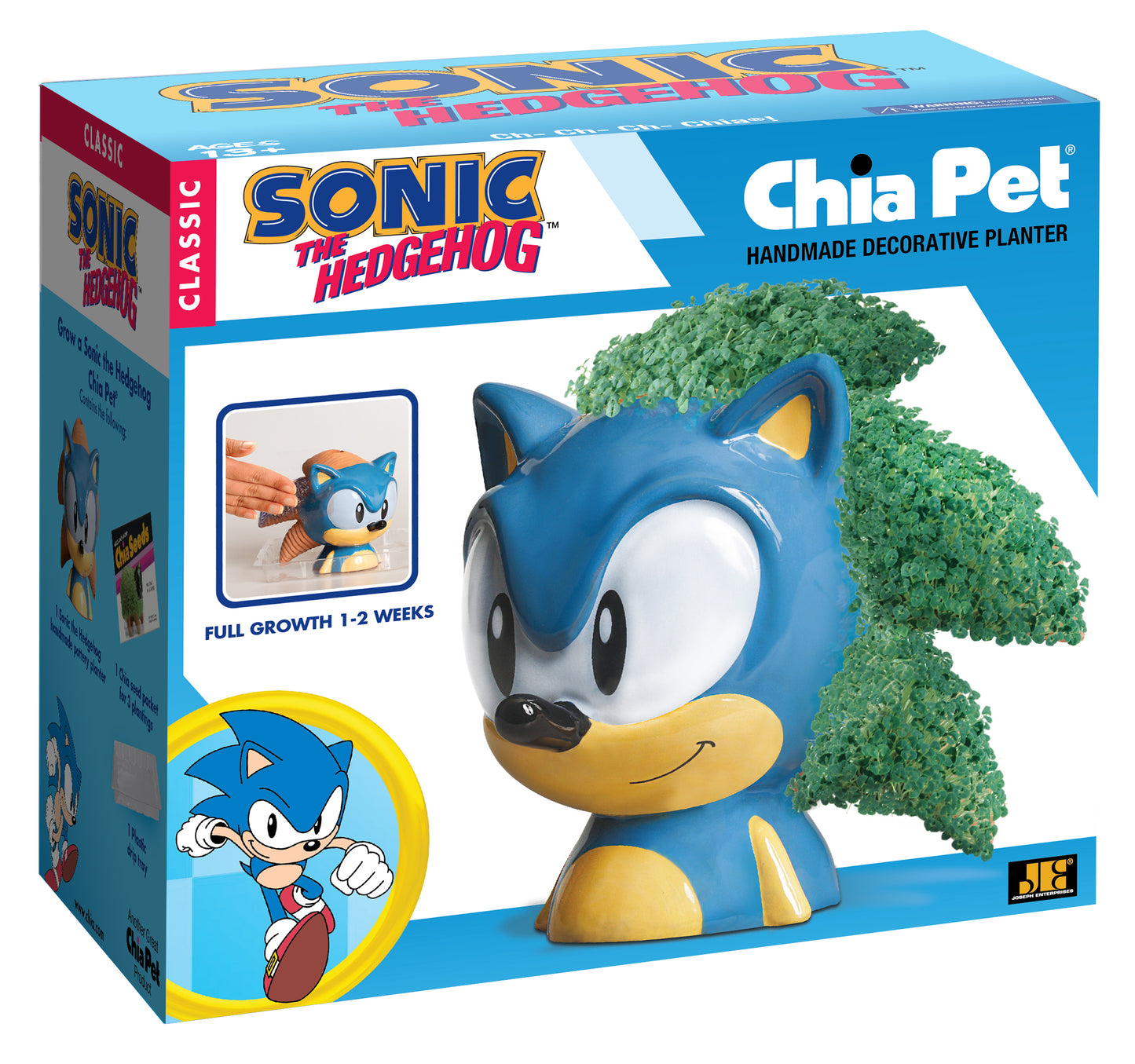 CHIA SONIC HEDGEHOG
