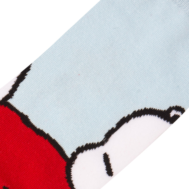 SNOOPY & WOODSTOC Socks