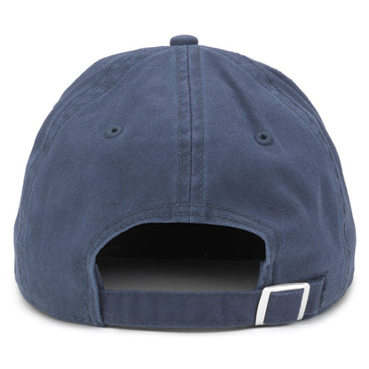 NASA Iconic Hat