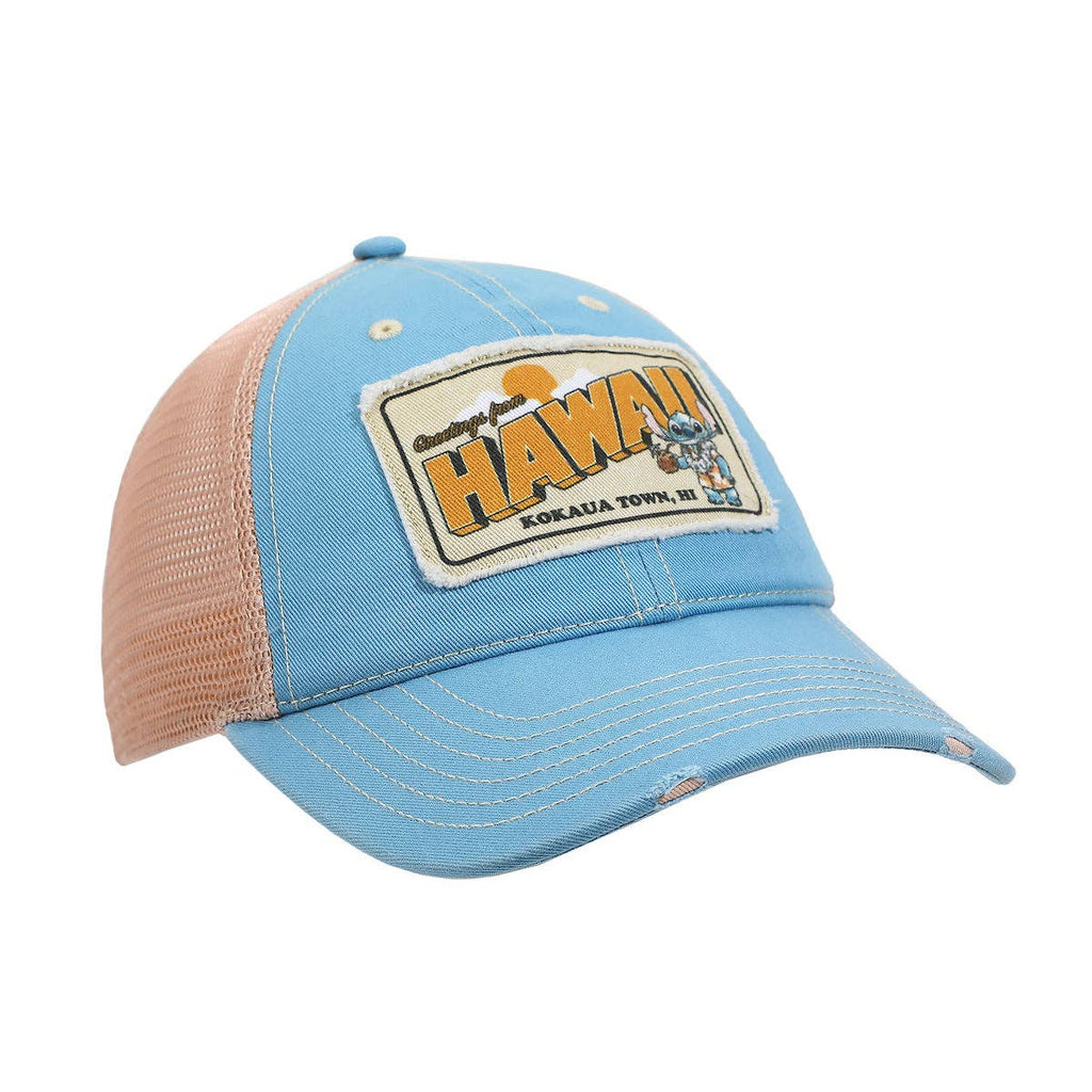 Disney Stitch Hawaii