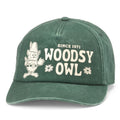 Woodsy Owl Walker