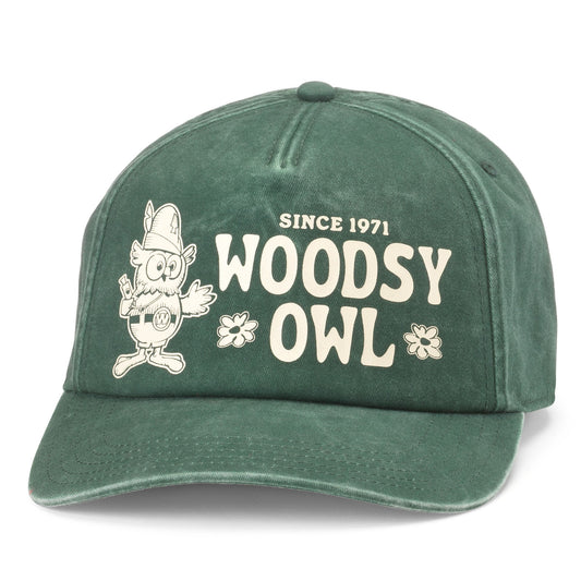 Woodsy Owl Walker