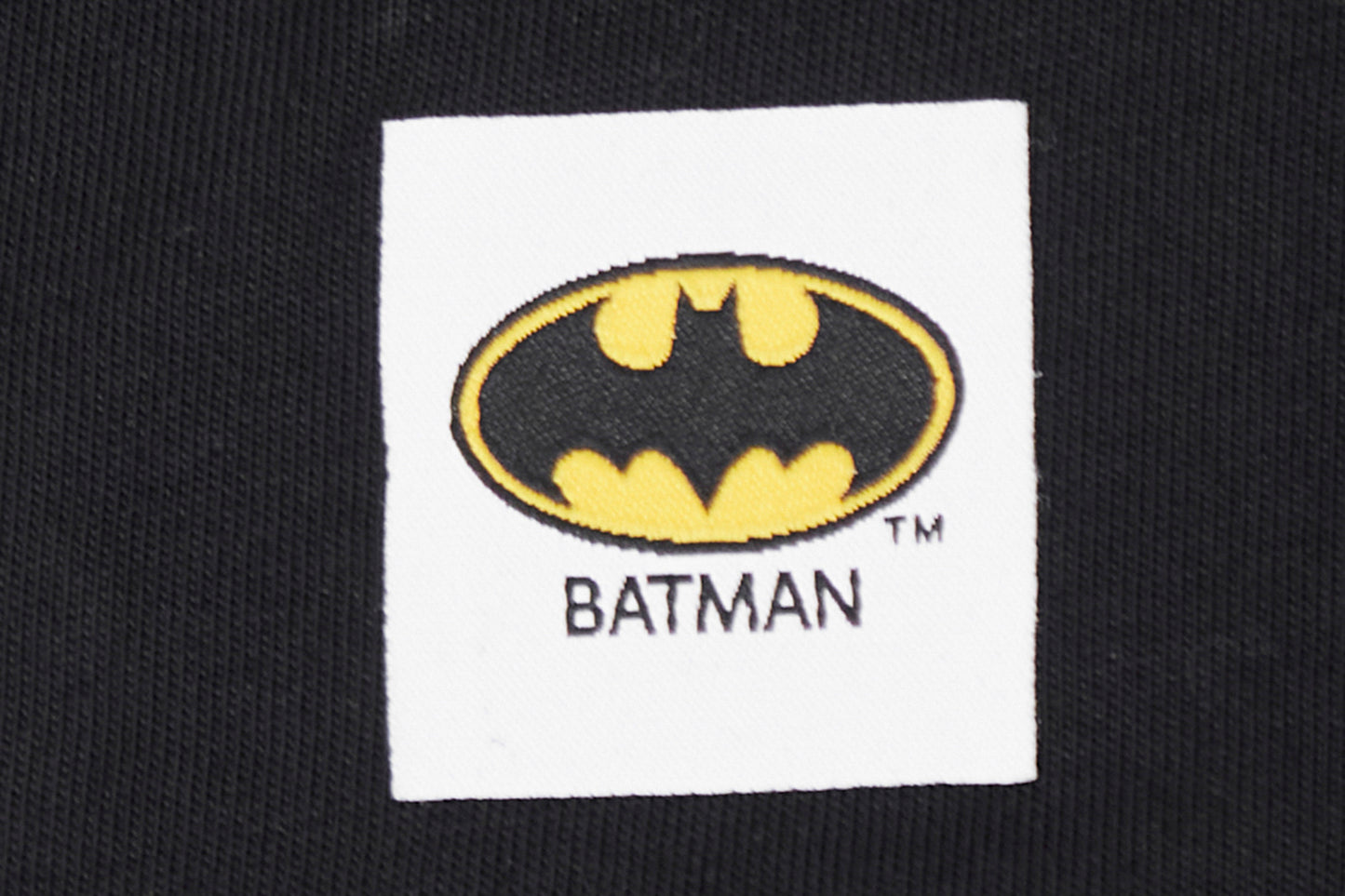 Batman Comics Freeze Max I Am The Night T-Shirt - Black
