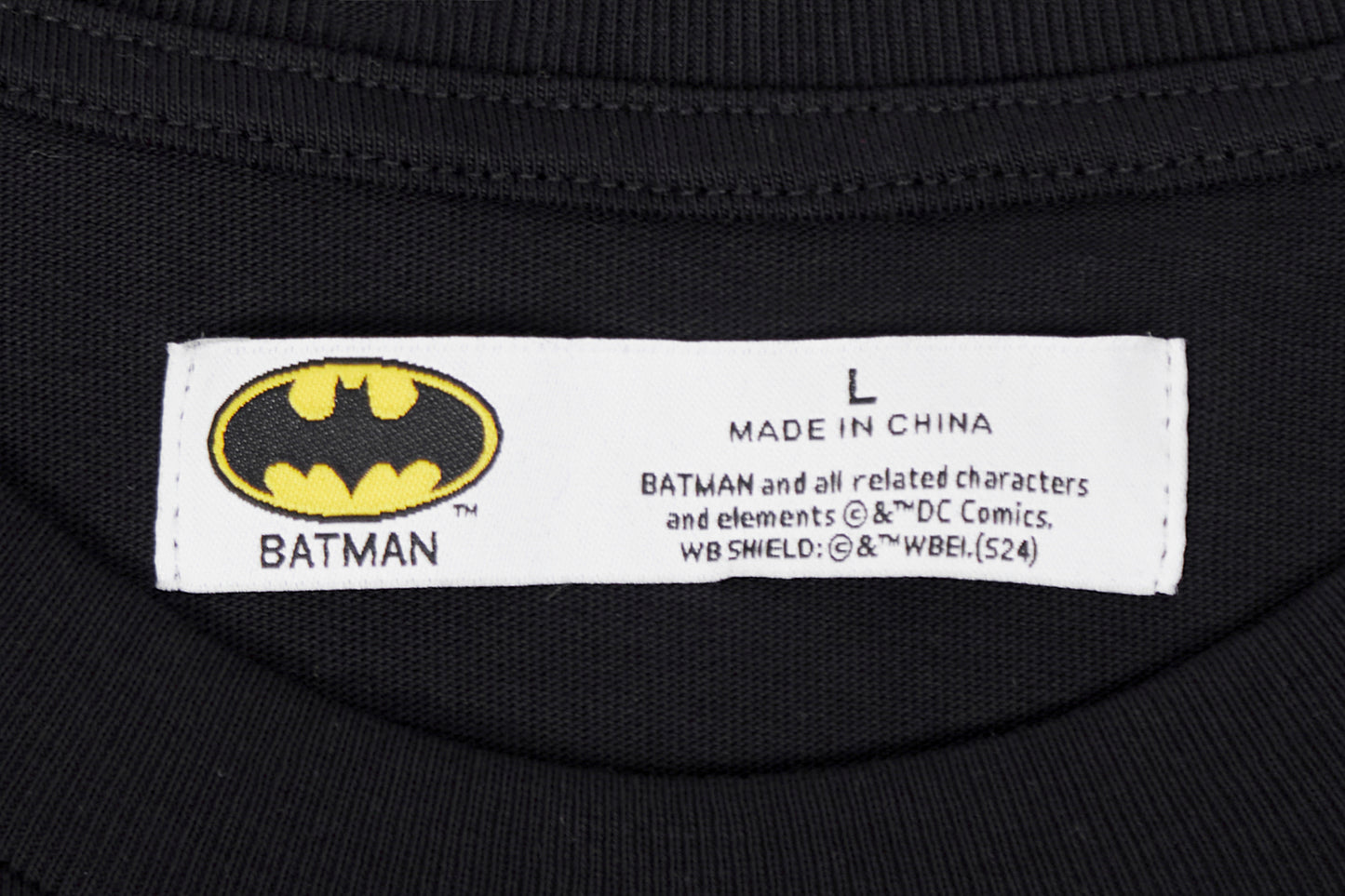 Batman Comics Freeze Max I Am The Night T-Shirt - Black