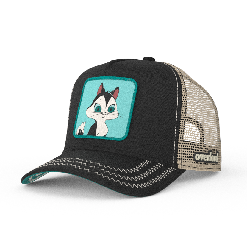Looney tunes: Pussyfoot Kitty Hat