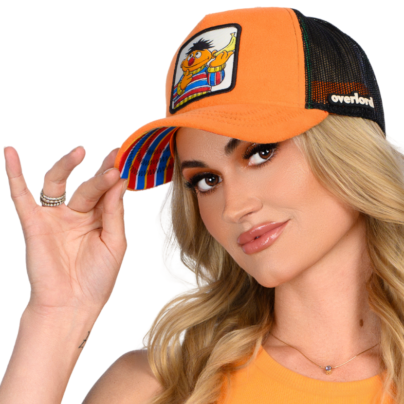 Sesame Street: Ernie