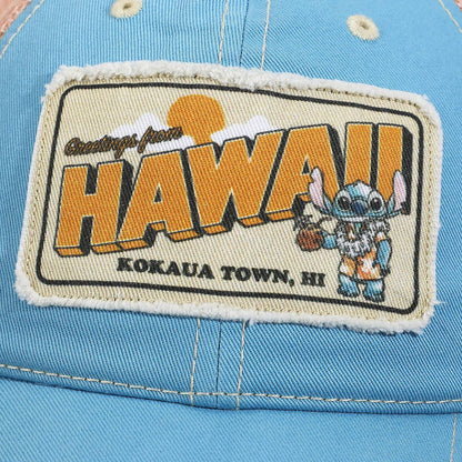 Disney Stitch Hawaii
