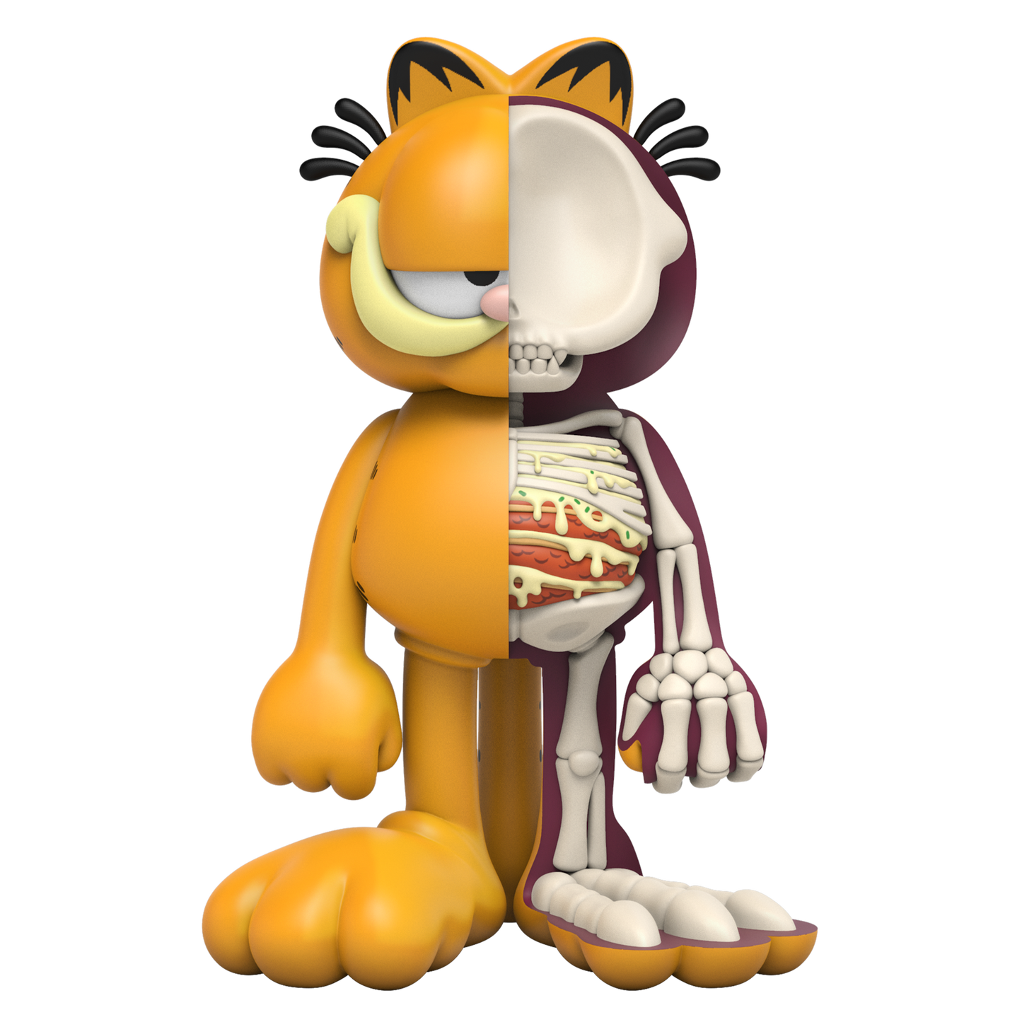 XXRAY Plus Garfield